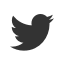 Twitter Twitter